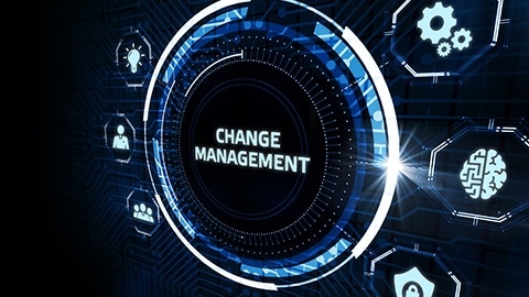 Do you have the change management process in place to support the move to a TMS?