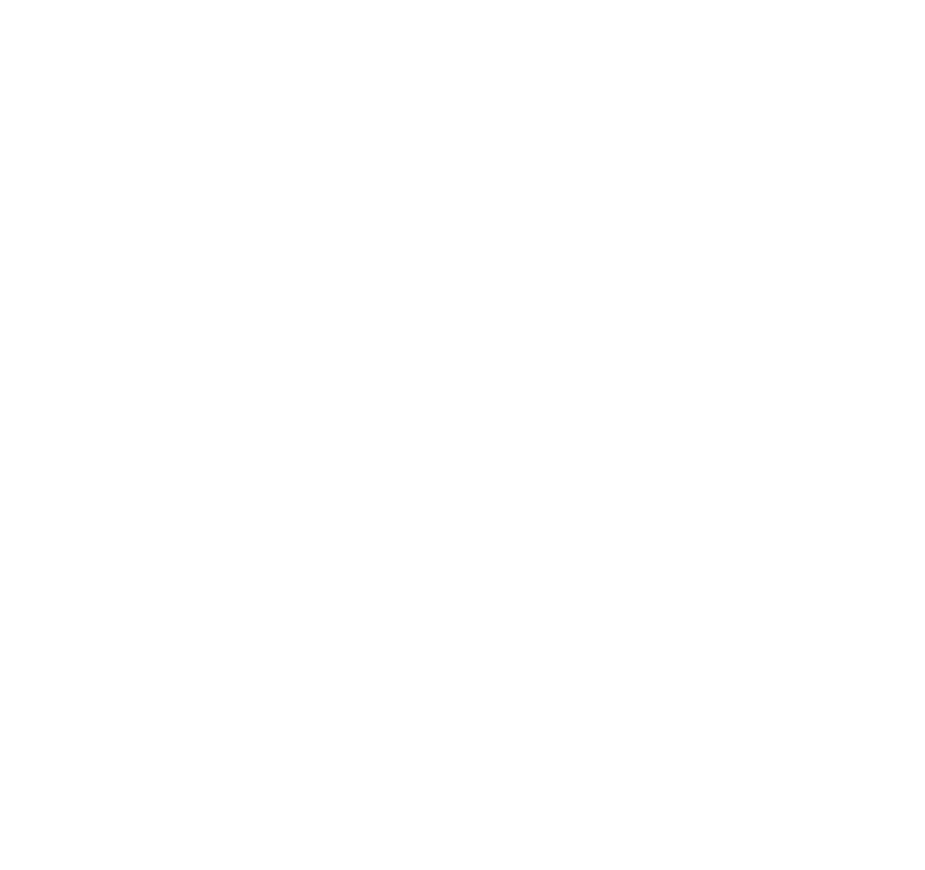 FedEx Auditor