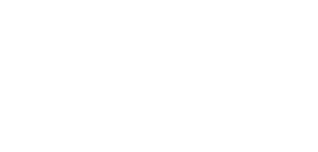 footer-logo