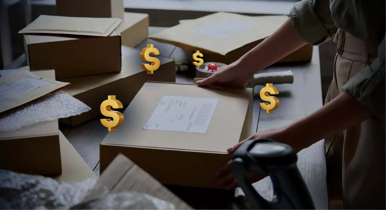 small parcel package with dollar signs