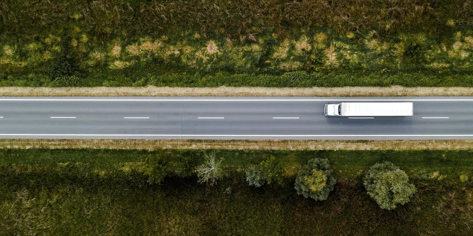 truck on wooded highway