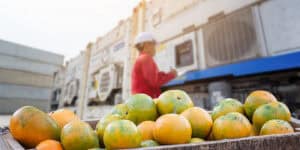 produce being shipper via reefer truck